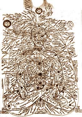 Энергетические каналы в теле человека (средневековый индийский рисунок)